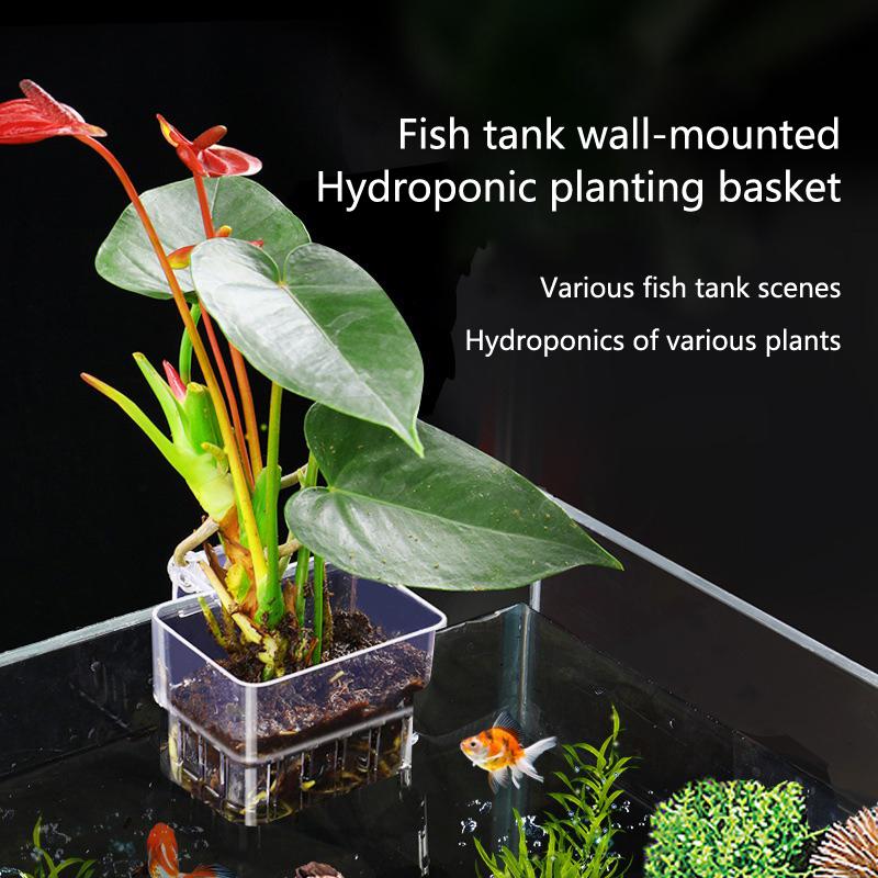 Aquarium Planted Setup - Kubek do hydroponicznego uprawy roślin akwariowych