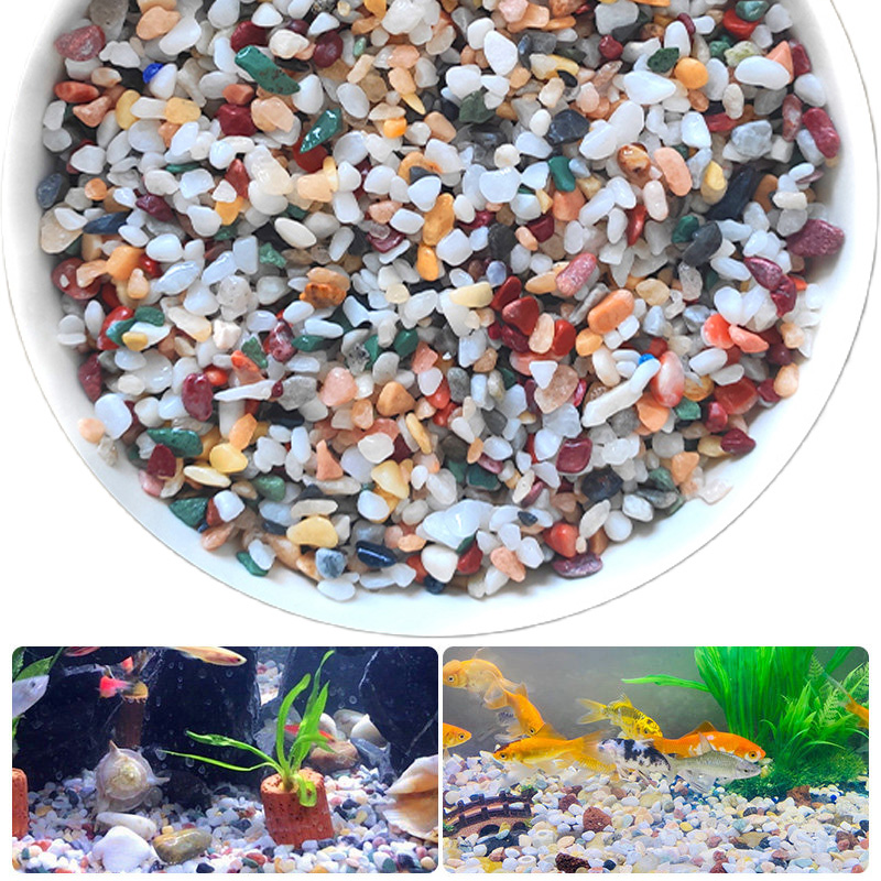 Planted Aquarium With Sand - Naturalny żwir kamieniany 200~1000g Mikro Krajobraz