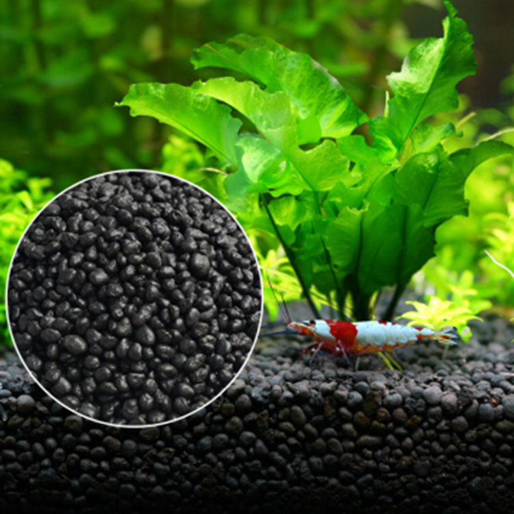Aquarium Planted Fish - Roślina akwariowa nasiona gleba akwarium podłoże