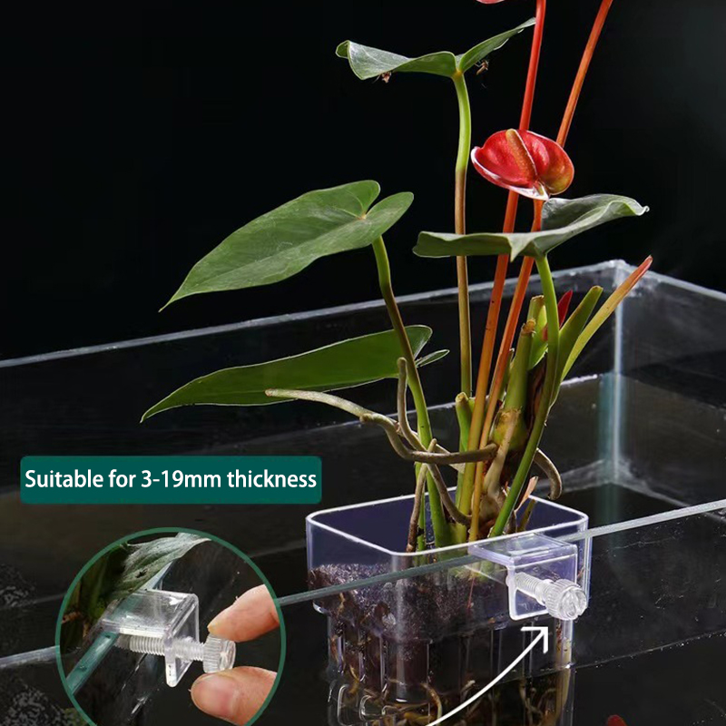Aquarium Planted Fish - Wielofunkcyjny akwarium dla ryb kubek do