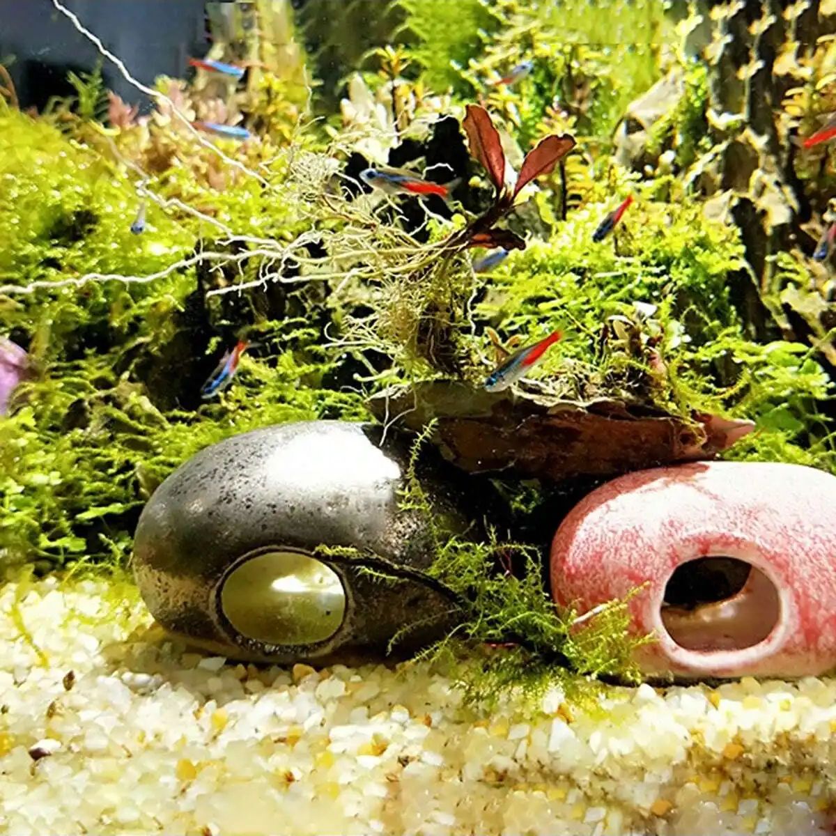 1szt-250g Naturalne kryształy  – Planted Aquarium With Sand recenzja i cena