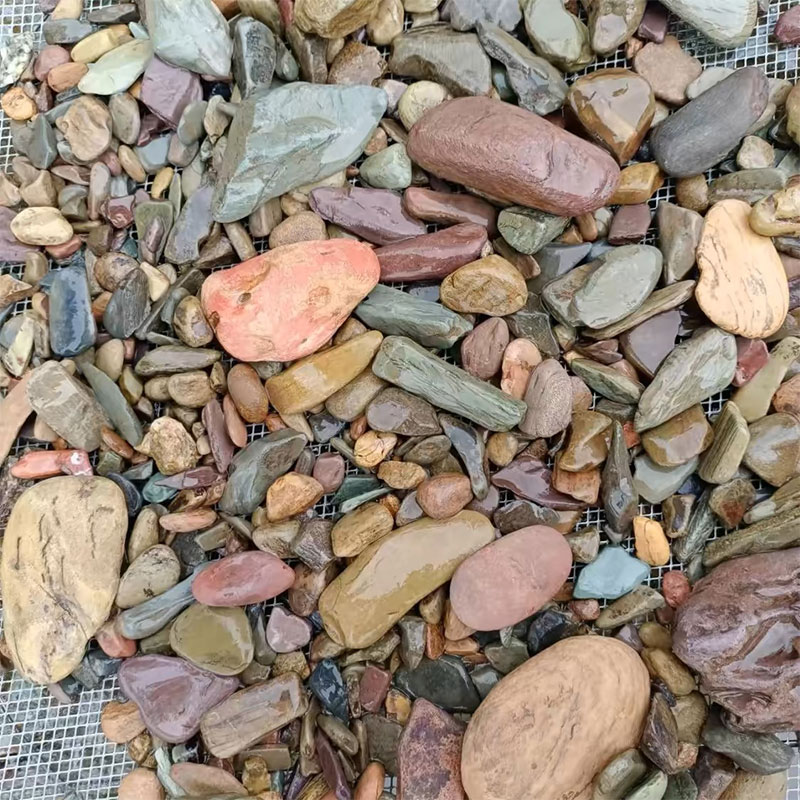 500g Akwarium Dno Akwarium Kam – Planted Aquarium With Sand recenzja i cena