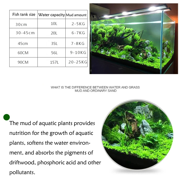 Żwirek do akwarium, rośliny wo – Planted Aquarium With Sand recenzja i cena