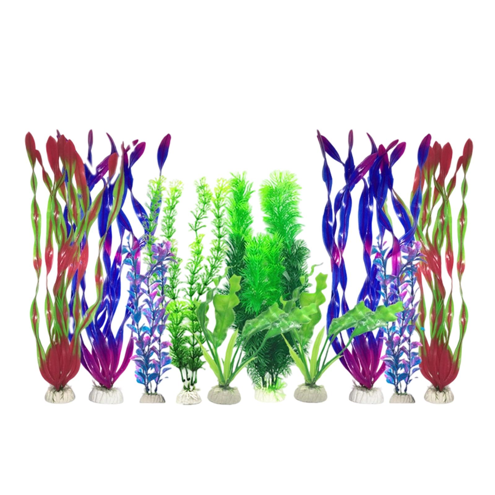 Sztuczne rośliny do akwarium,  – Planted Aquarium Betta recenzja i cena