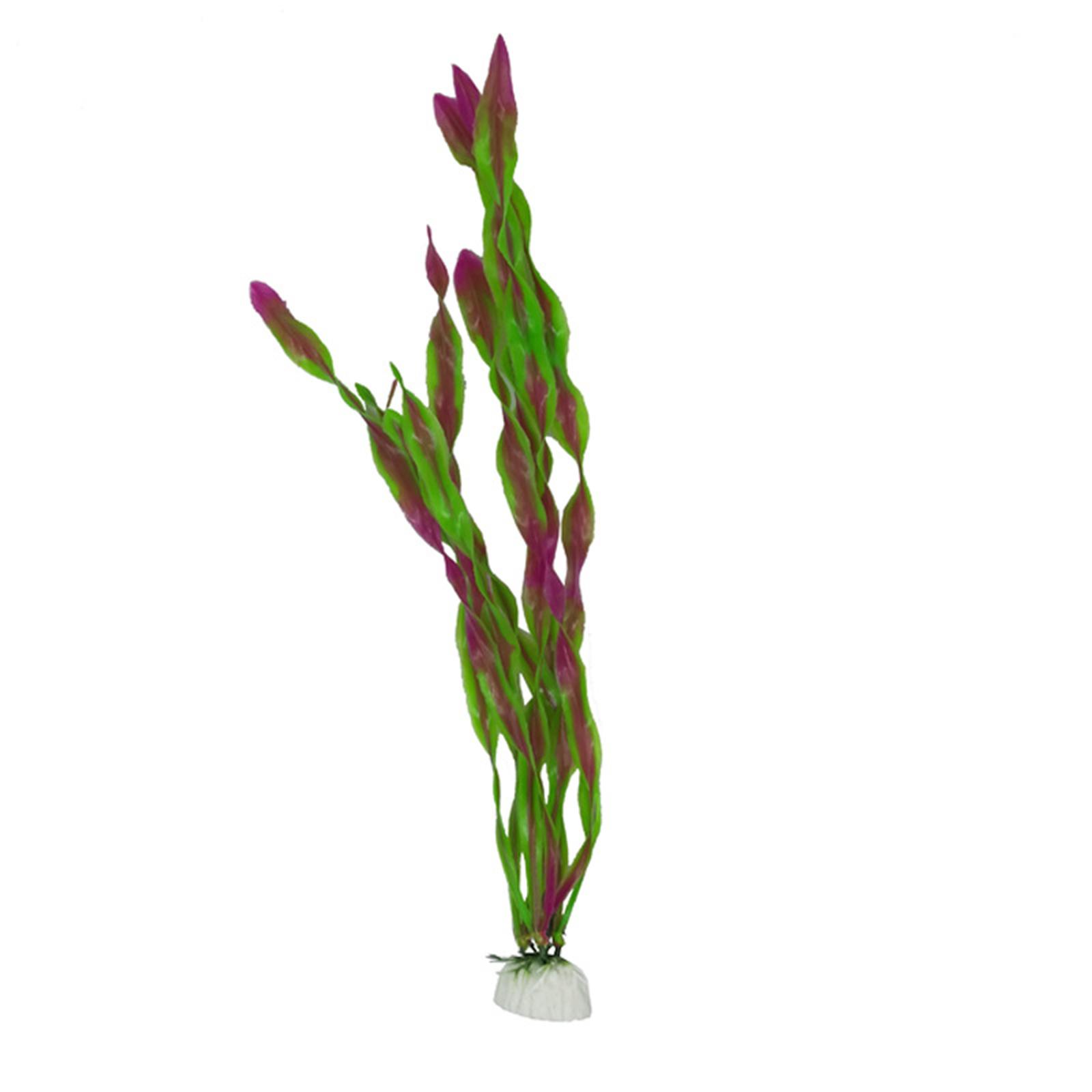 Sztuczne rośliny do akwarium,  – Planted Aquarium Betta recenzja i cena