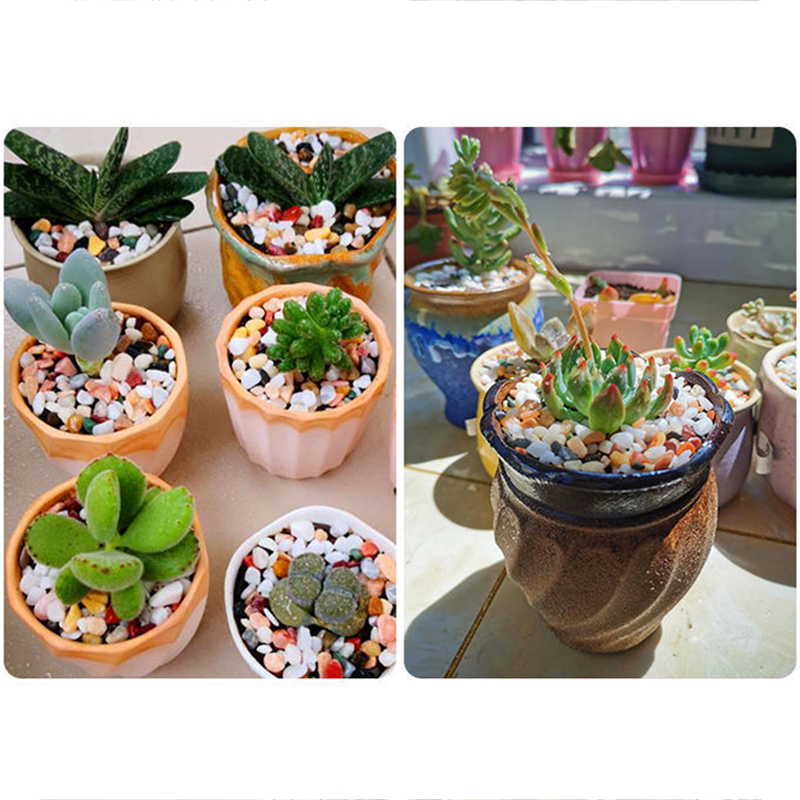 Piasek naturalny do akwarium 5 – Planted Aquarium With Sand recenzja i cena