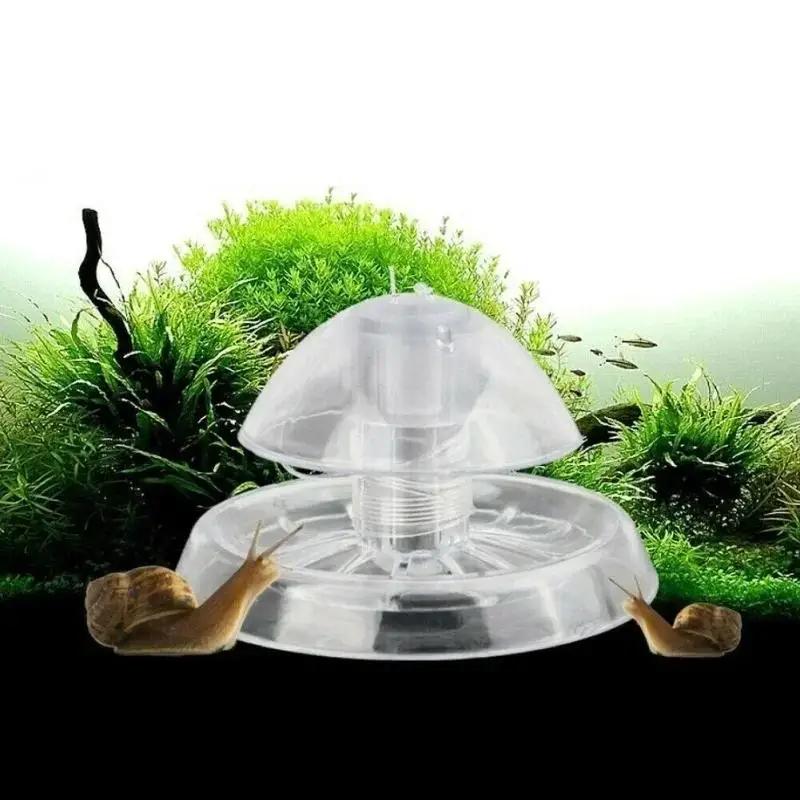 2026 Nowa przezroczysta plasti – Aquarium Planted Fish recenzja i cena