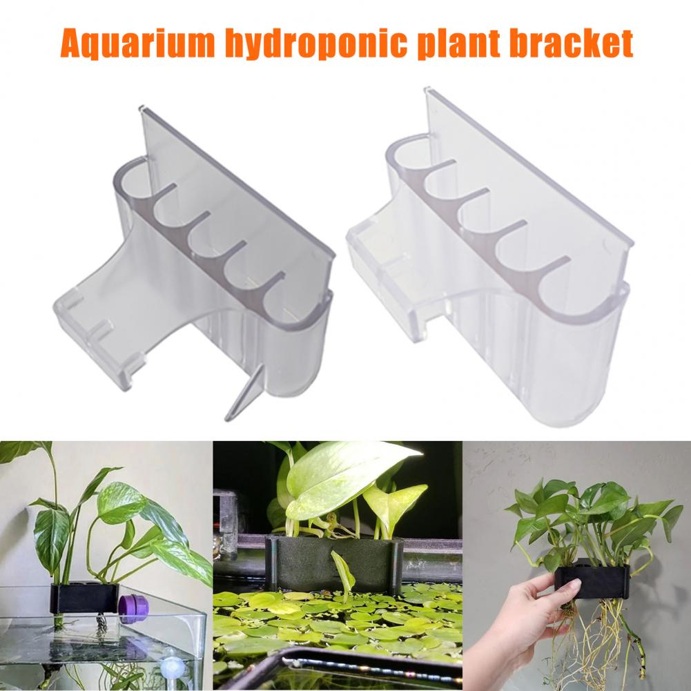 4.5/6.5cm akwarium uchwyt na r – Aquarium Planted Fish recenzja i cena