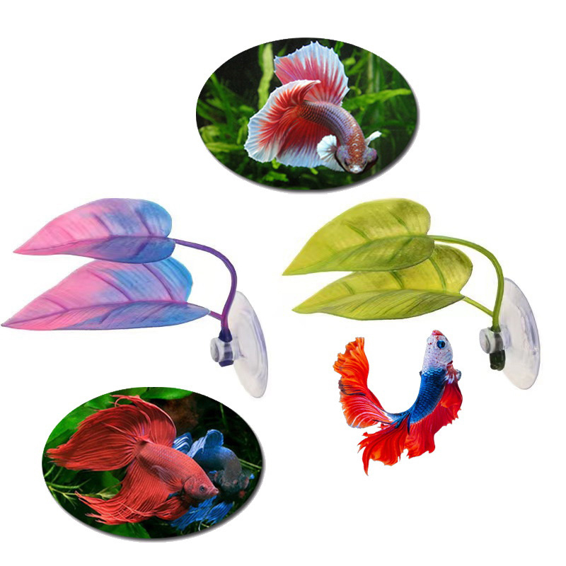 Sztuczne rośliny wodne do akwa – Planted Aquarium Betta recenzja i cena