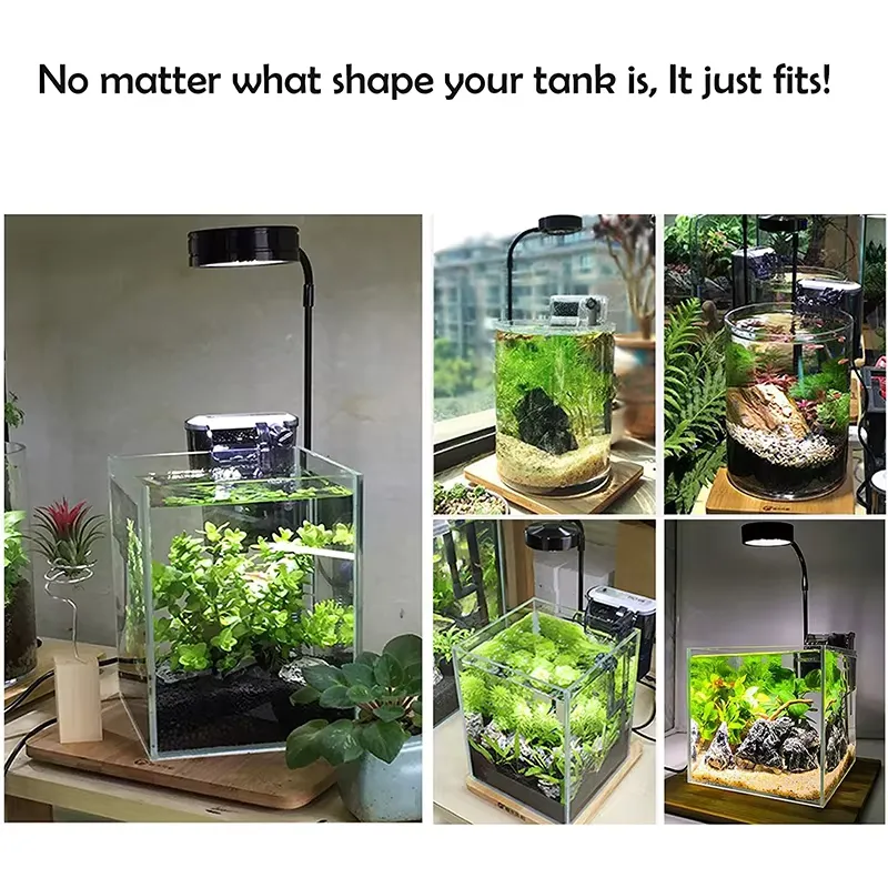 Pełnospektralne światło LED z  – Planted Aquarium Betta recenzja i cena