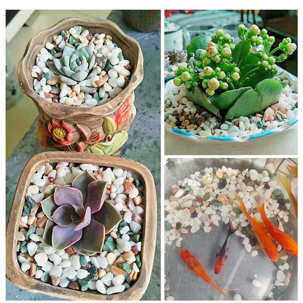 50/100g Naturalne kryształy Żw – Planted Aquarium With Sand recenzja i cena