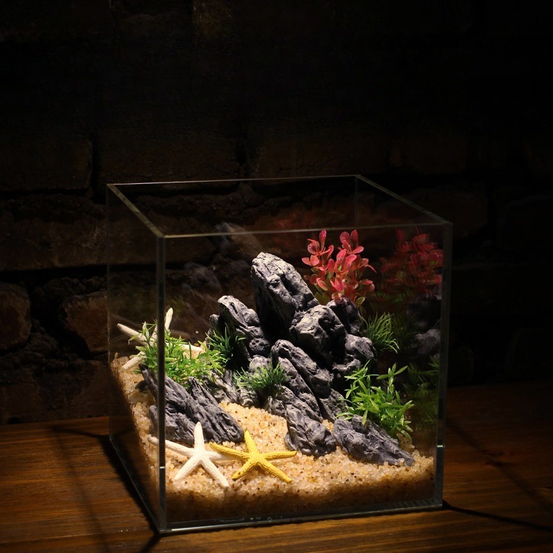 Dekoracja Akwarium Symulacja K – Aquarium Planted Setup recenzja i cena
