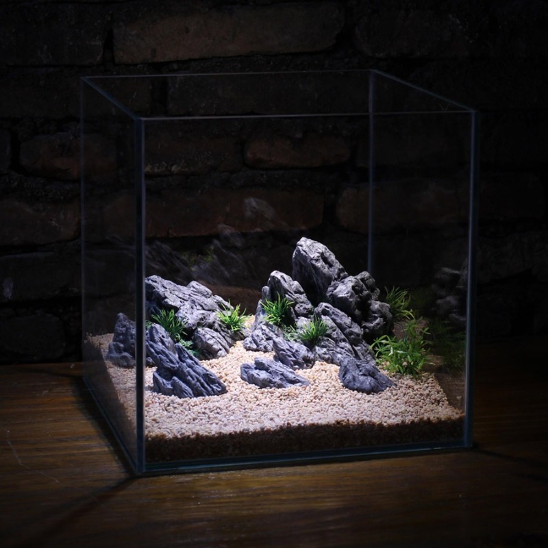 Dekoracja Akwarium Symulacja K – Aquarium Planted Setup recenzja i cena