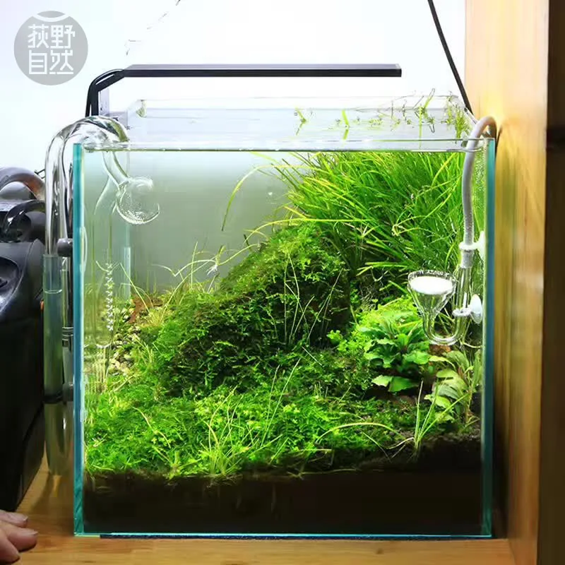 Chihiros C Series ADA Style Pl – Aquarium Plant Ornament recenzja i cena