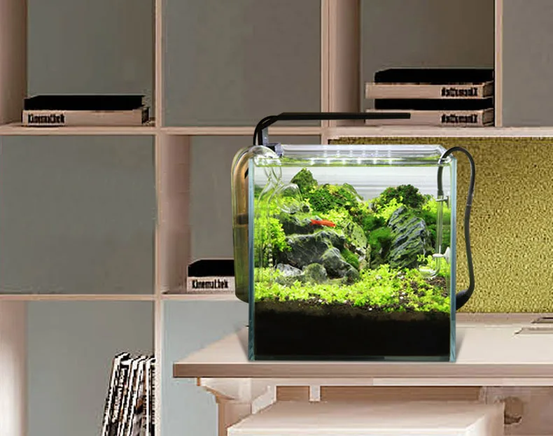 Chihiros C Series ADA Style Pl – Aquarium Plant Ornament recenzja i cena