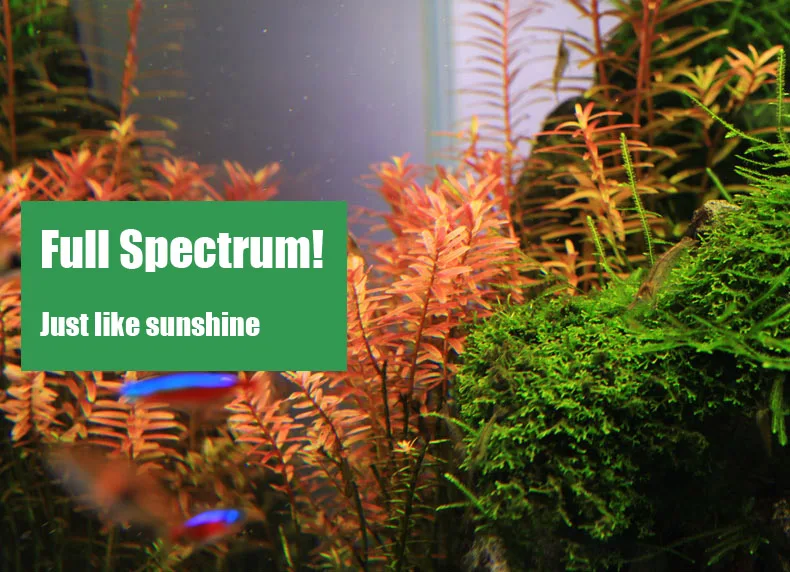 Chihiros C Series ADA Style Pl – Aquarium Plant Ornament recenzja i cena