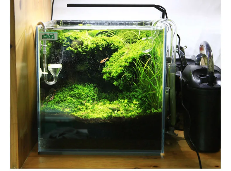Chihiros C Series ADA Style Pl – Aquarium Plant Ornament recenzja i cena