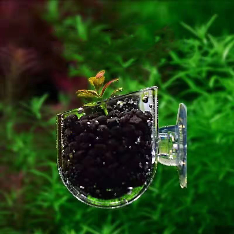 Kubek do karmienia czerwonych  – Aquarium Plant Red recenzja i cena
