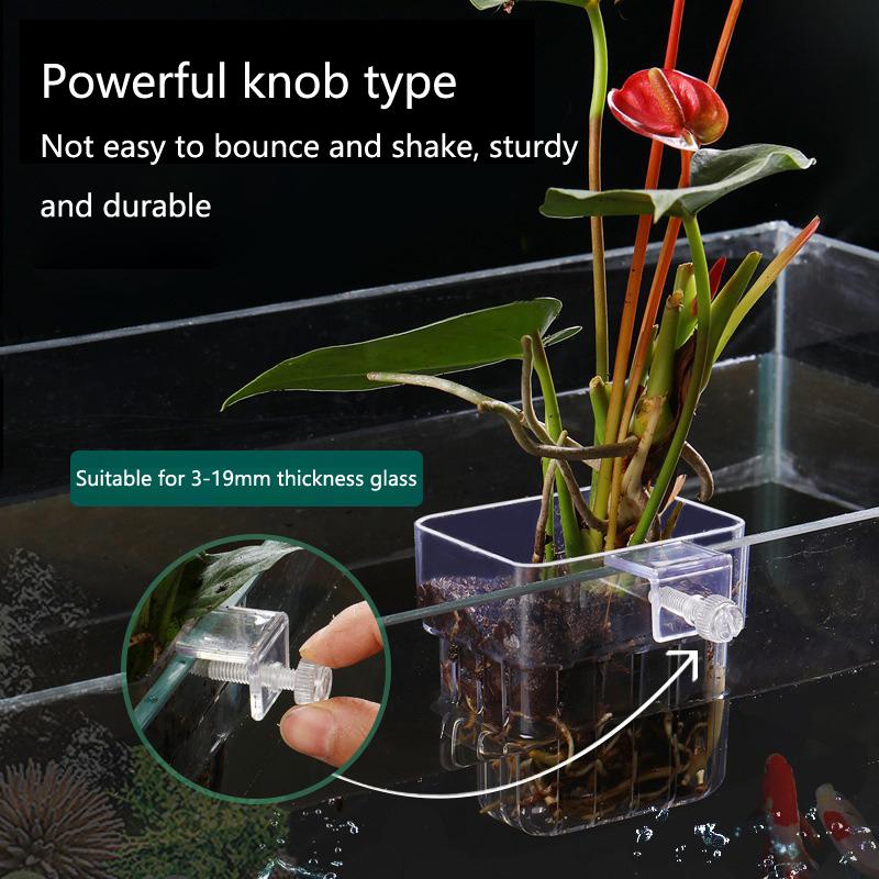 Kubek do hydroponicznego upraw – Aquarium Planted Setup recenzja i cena