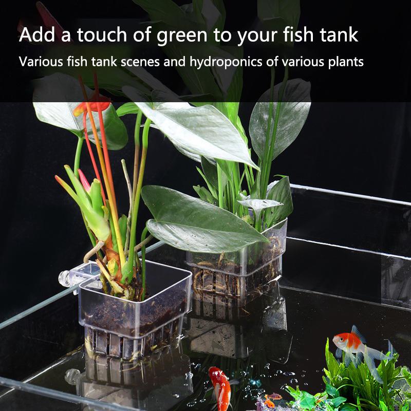 Kubek do hydroponicznego upraw – Aquarium Planted Setup recenzja i cena