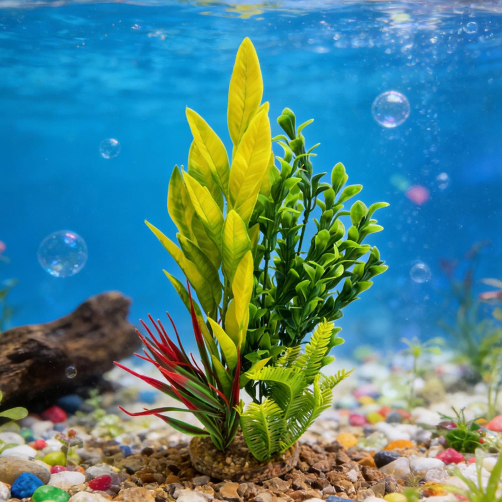 Sztuczne rośliny akwariowe Dek – Planted Aquarium Betta recenzja i cena