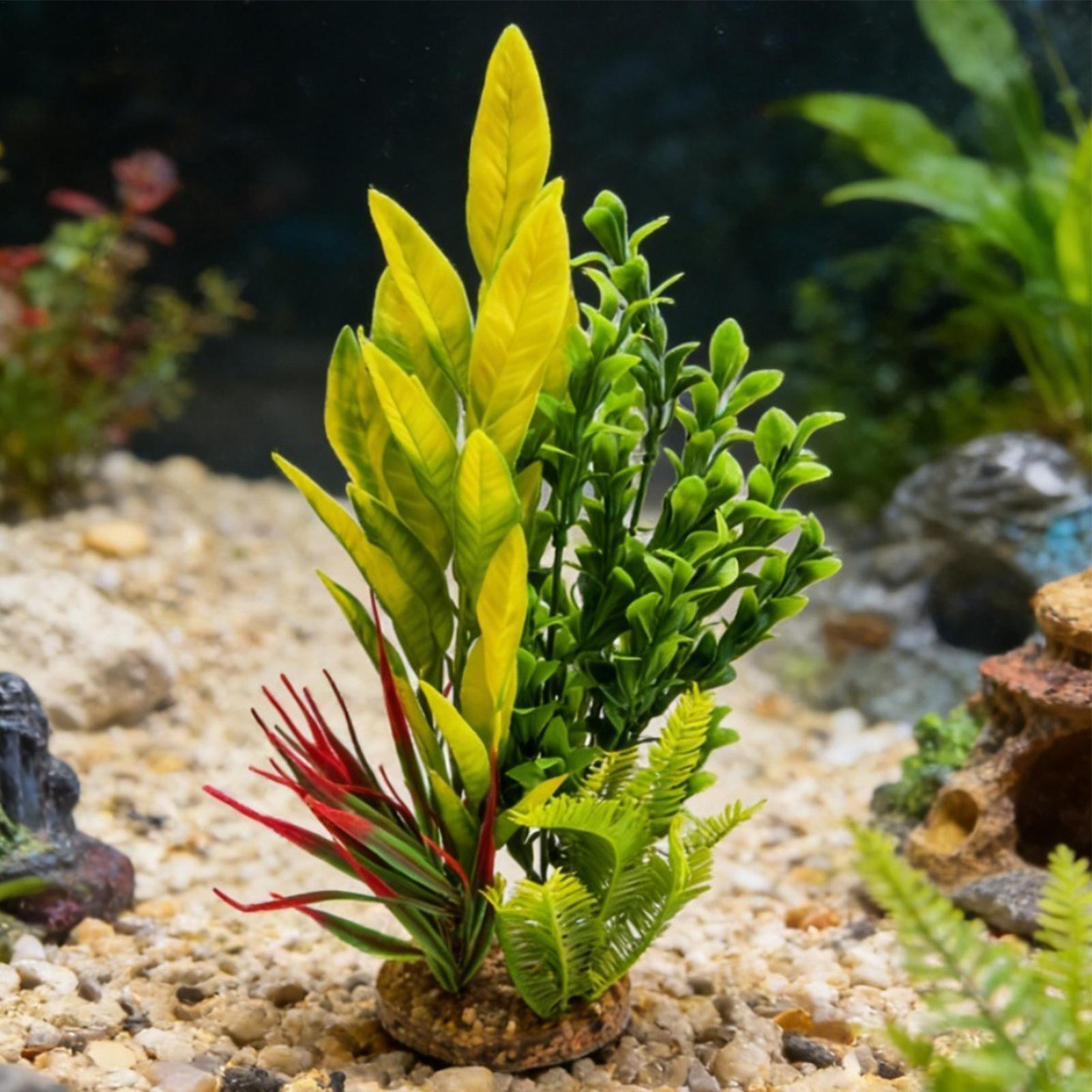 Sztuczne rośliny akwariowe Dek – Planted Aquarium Betta recenzja i cena