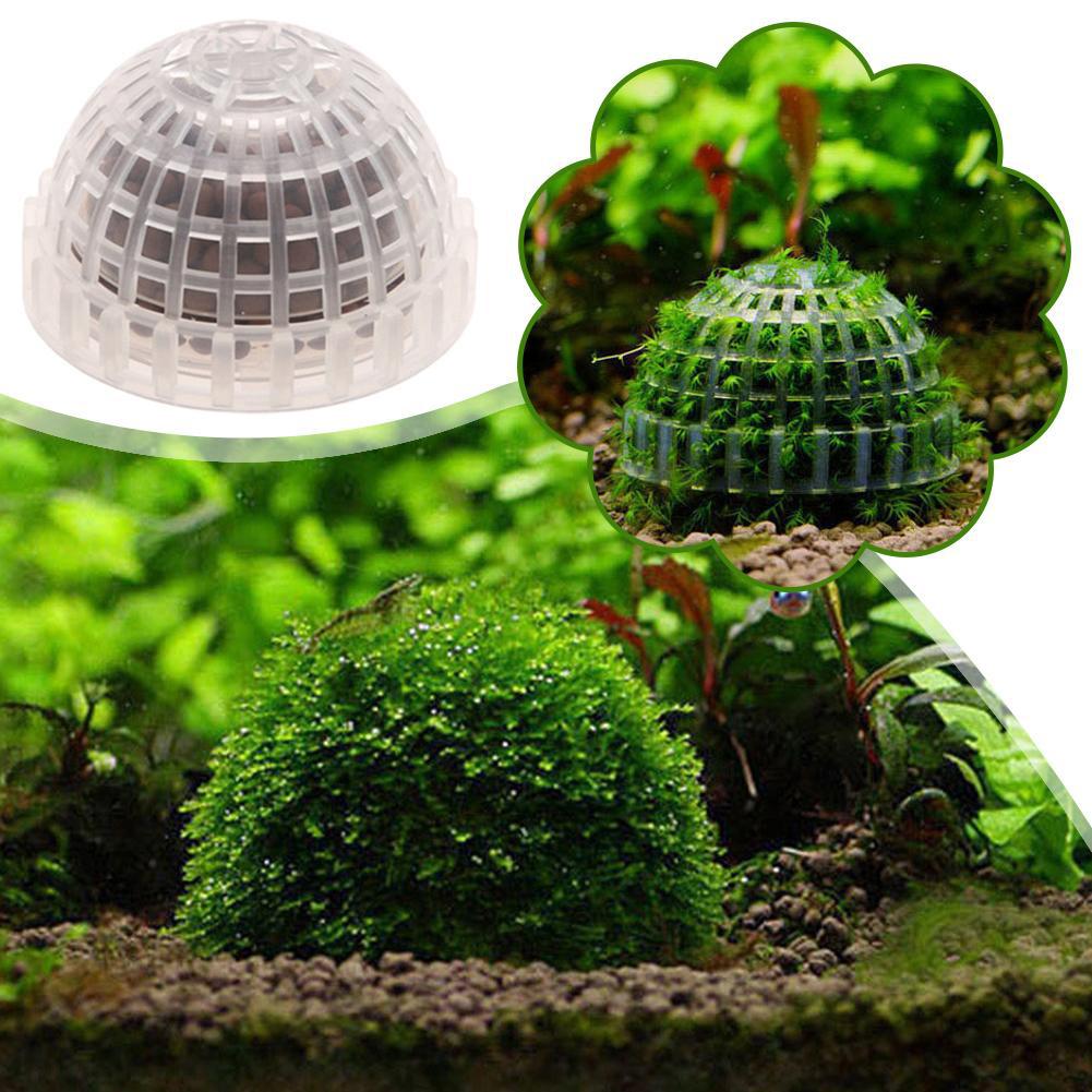 1/2/3/4/5 SZT. Dekoracja do ak – Aquarium Plant Red recenzja i cena