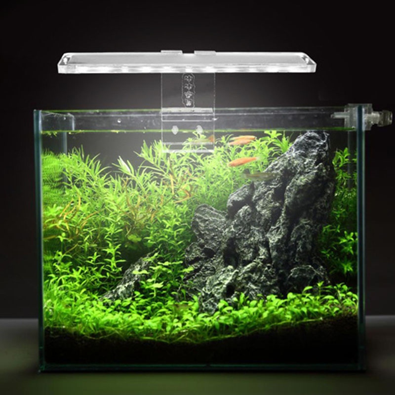 Lampa LED do akwarium świecąca – Planted Aquarium Price recenzja i cena