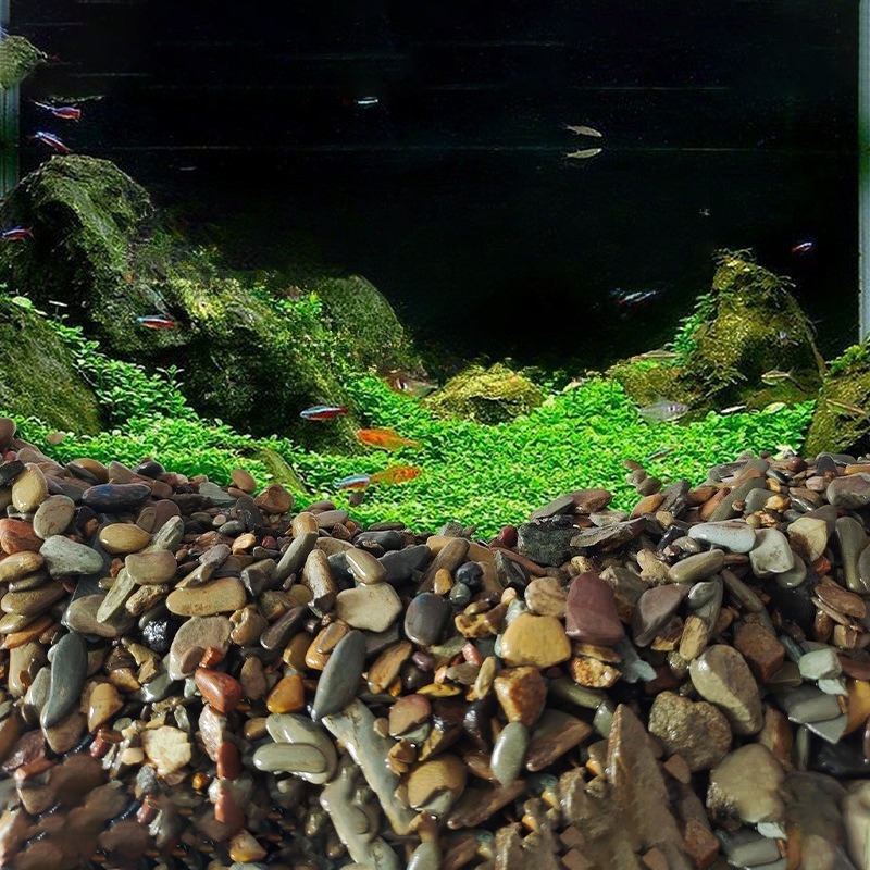 Kamienie rzeczne do akwarium,  – Planted Aquarium With Sand recenzja i cena