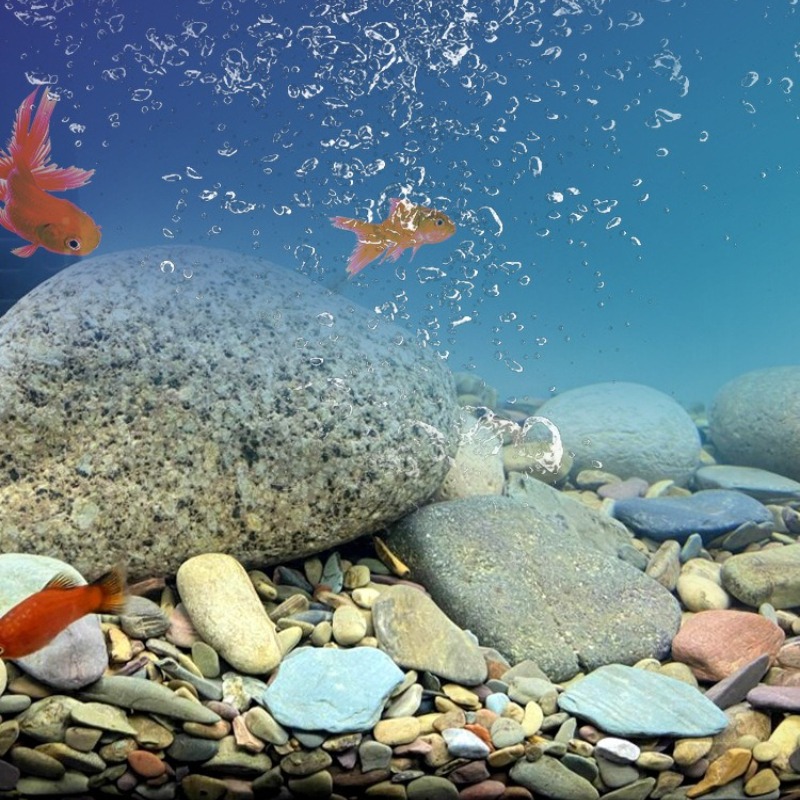 Kamienie rzeczne do akwarium,  – Planted Aquarium With Sand recenzja i cena
