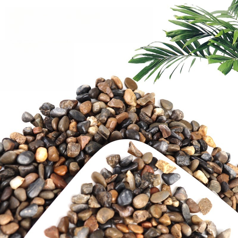 Kamienie rzeczne do akwarium,  – Planted Aquarium With Sand recenzja i cena
