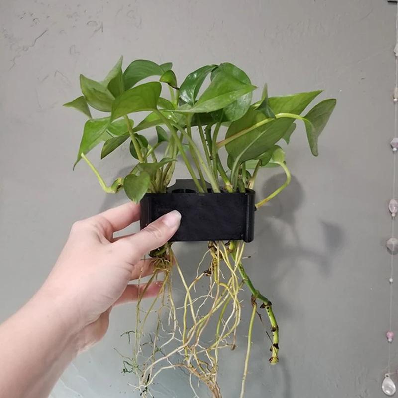 1 2 3 szt. Koszyk do podtrzymy – Aquarium Planted Setup recenzja i cena