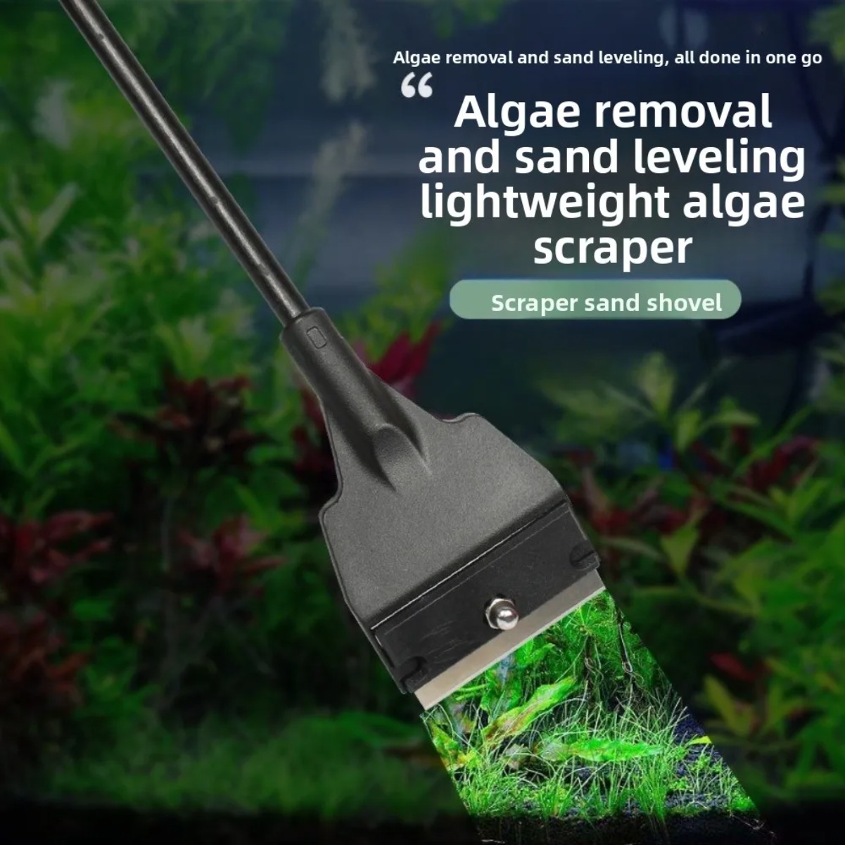 Skrobak do szkła akwarium, pła – Planted Aquarium With Sand recenzja i cena