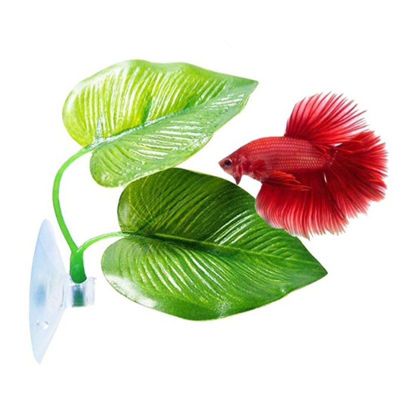 Rośliny do akwarium dla rybek  – Planted Aquarium Betta recenzja i cena