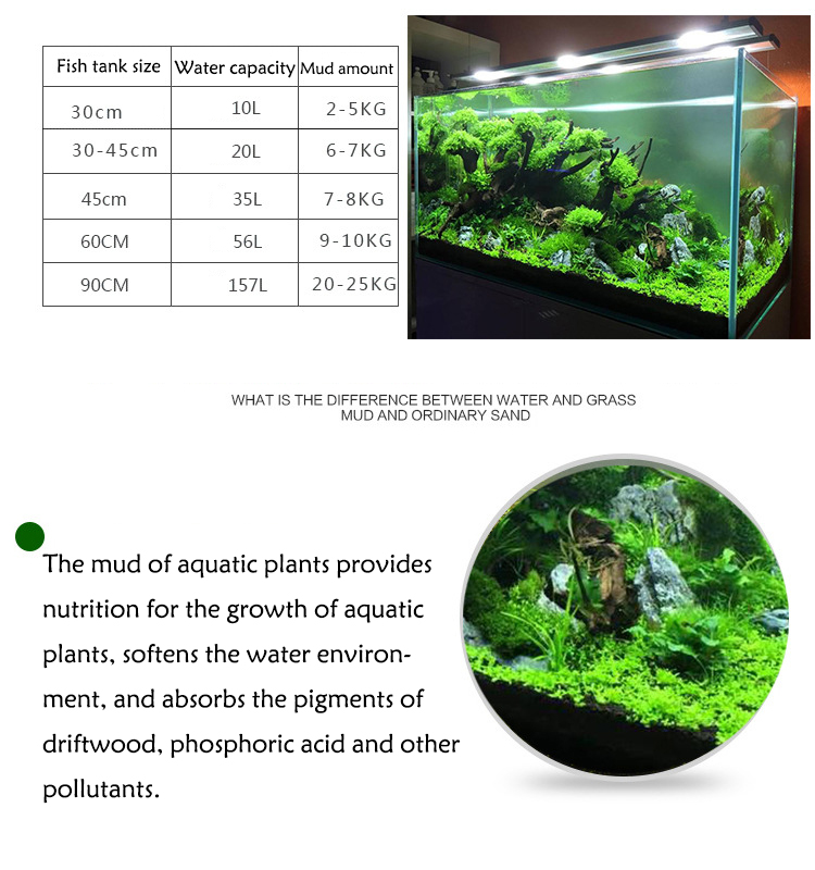 Roślina akwariowa nasiona gleb – Aquarium Planted Fish recenzja i cena