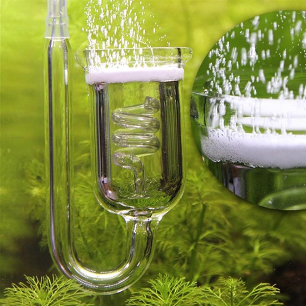 Wytrzymały szklany dyfuzor CO2 – Aquarium Planted Setup recenzja i cena