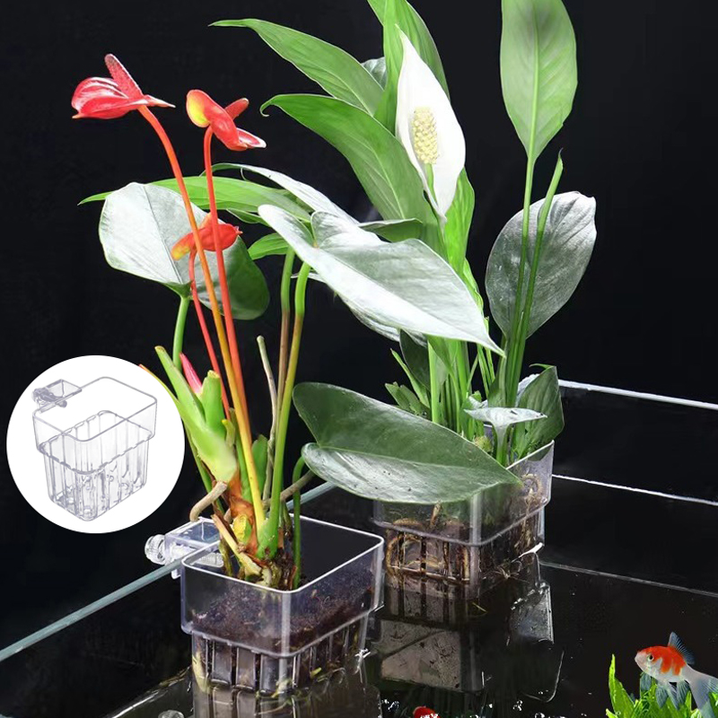 Wielofunkcyjny akwarium dla ry – Aquarium Planted Fish recenzja i cena
