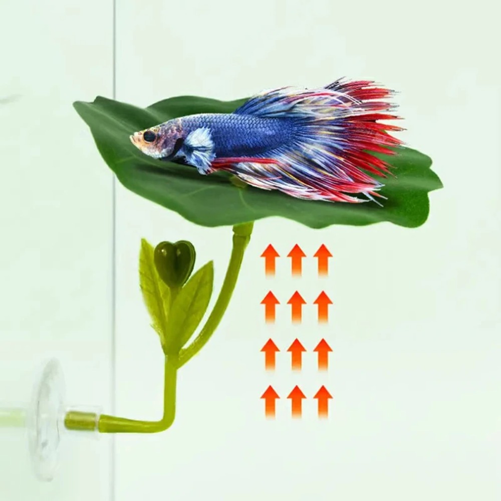 1 szt. Zielony hamak dla rybki – Planted Aquarium Betta recenzja i cena