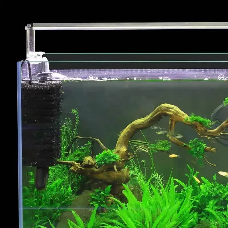 3 w 1 klips na elektryczny fil – Aquarium Planted Filter recenzja i cena