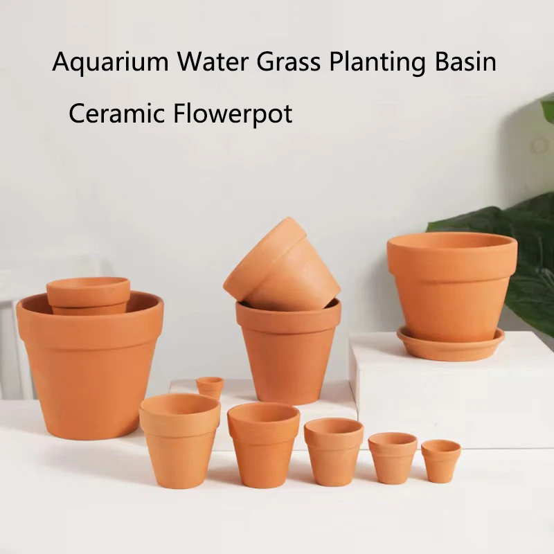 Czerwone błoto Dekoracja akwar – Aquarium Plant Red recenzja i cena