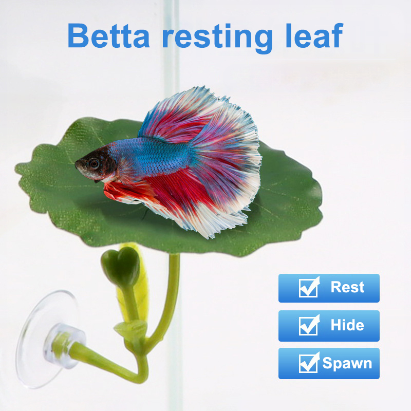 1 szt. Dekoracja do akwarium d – Planted Aquarium Betta recenzja i cena