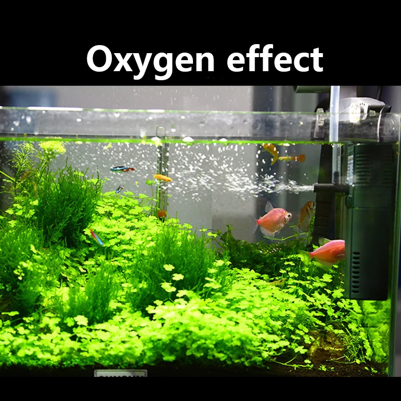 SUNSUN mini nano 111B 311B 611 – Aquarium Planted Filter recenzja i cena